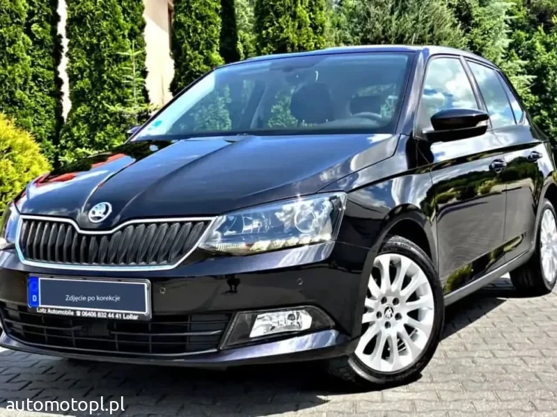 Skoda (Korekta zdjęć)