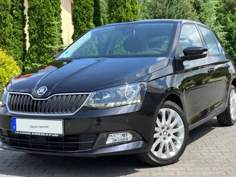 Skoda (Korekta zdjęć)